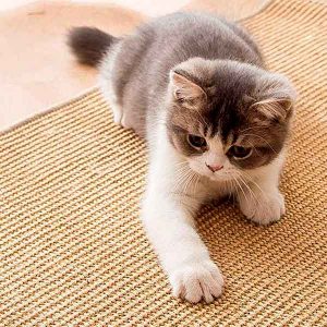 alfombras-rascadores-gatos