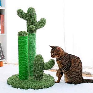 rascador-gato-cactus