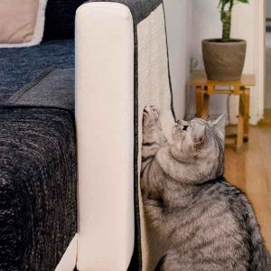 rascador-gato-sofa