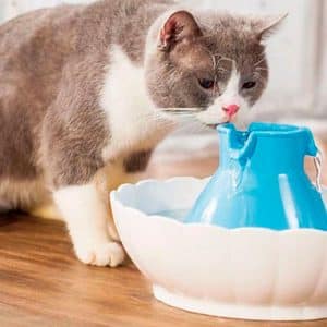 bebederos-para-gatos-que-tiran-el-agua