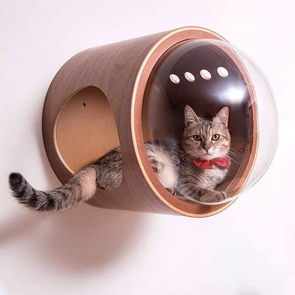 cama-capsula-gato