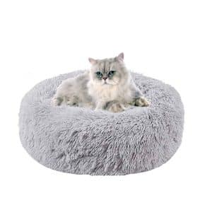 cama-gato-persa