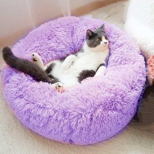 cama-redonda-para-gatos