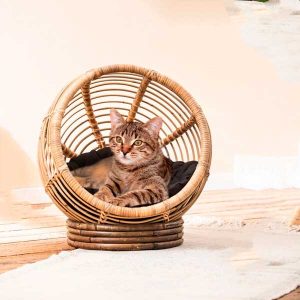 cesta-para-gatos