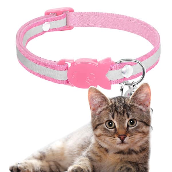 collar-seguridad-gatos