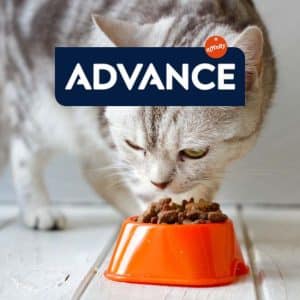 advance-pienso-gato