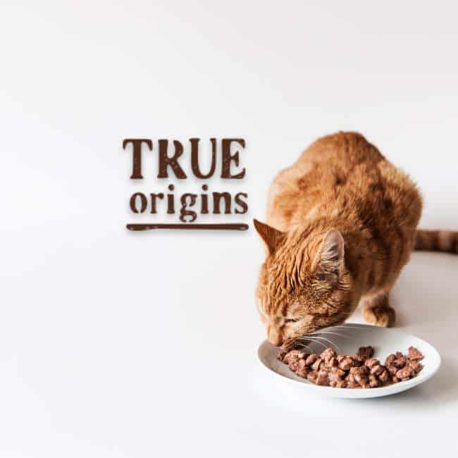 true-origins-pienso-gato